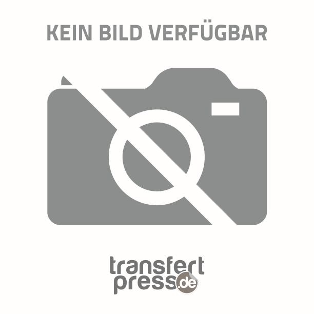 Digitaler Transfer Extenso A3